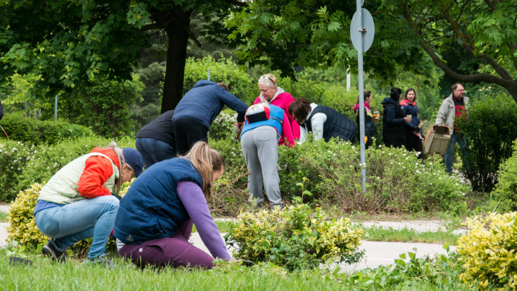 T-Szol Kresz Park társadalmi felelősségvállalás